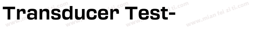 Transducer Test字体转换
